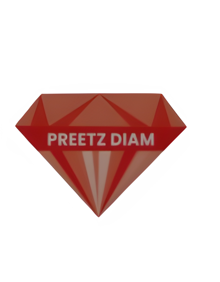 Preetz Diam Logo